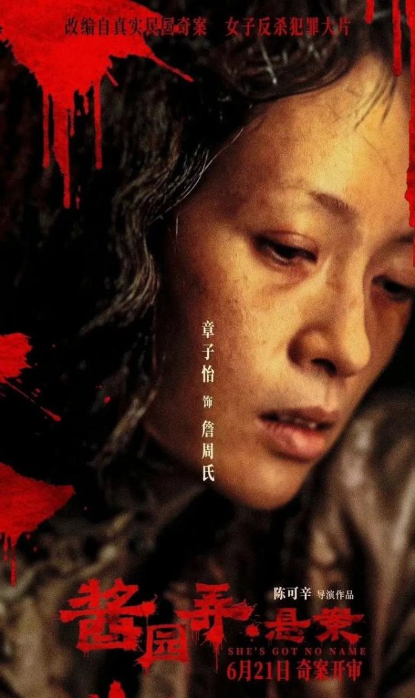 创赢策略 《酱园弄》的伪女权：血眼封神的章子怡，和赵丽颖杨幂都沦为祭品