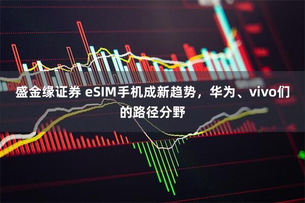 盛金缘证券 eSIM手机成新趋势，华为、vivo们的路径分野